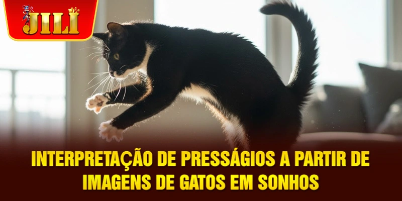 Interpretação de presságios a partir de imagens de gatos em sonhos