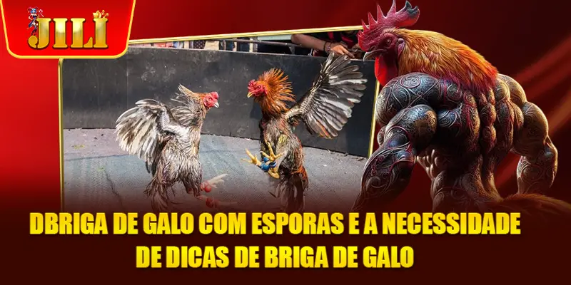 DBriga de galo com esporas e a necessidade de dicas de briga de galo