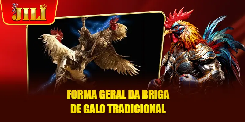 Forma Geral da briga de galo tradicional